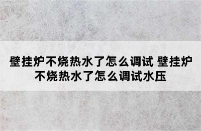 壁挂炉不烧热水了怎么调试 壁挂炉不烧热水了怎么调试水压